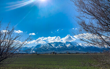 snow covered mountains
