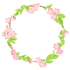 桜の新芽と花のリースフレームイラスト素材