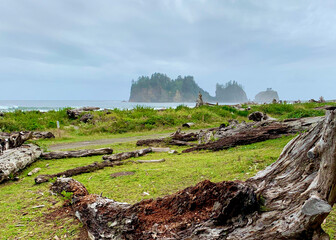 the ruins of the ruins of the castle