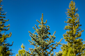 No place to go but up