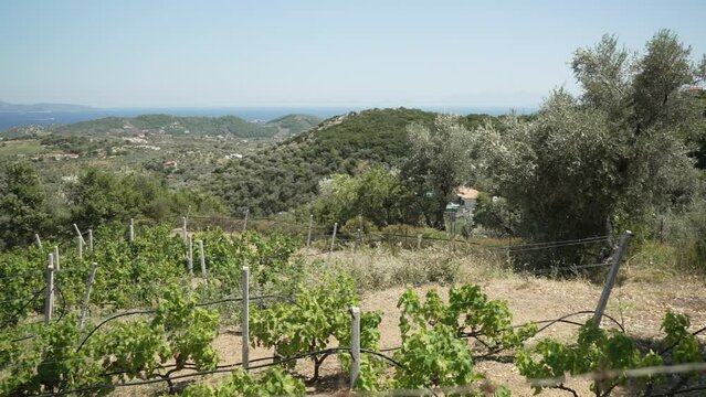 Landscape and sea from Moni Evaggelistrias Monastery, Skiathos Island, Sporades Islands, Greek Islands