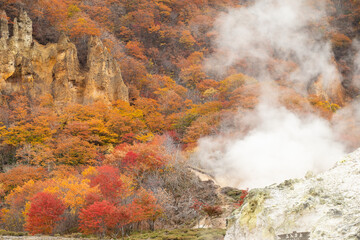 北海道 登別 紅葉の地獄谷