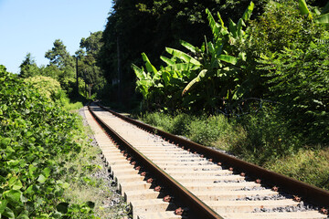 Modern railway line among plants in countryside