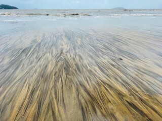 sand dunes and grass
