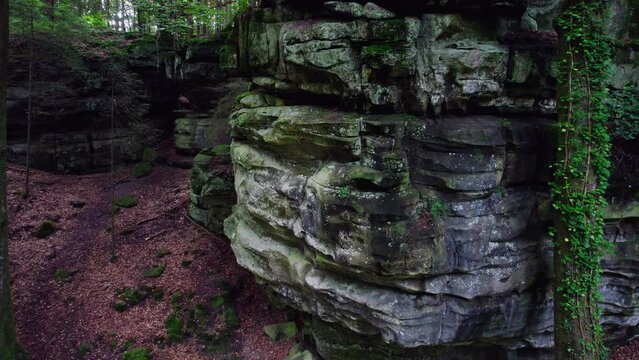 Close up along the steep mountain cliff. Colorful rock formation beautiful carved by erosion. Fresh green tall trees, rocks covered with moss and ivy in peaceful forest in Luxembourg