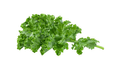 Kale leaf salad vegetable isolated on  transparent png