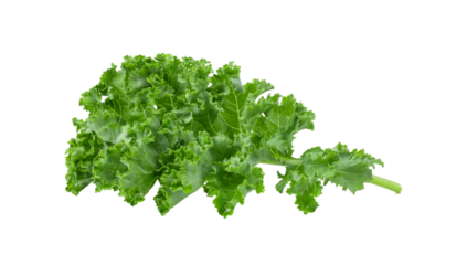 Kale leaf salad vegetable isolated on  transparent png