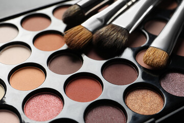 Beautiful eye shadow palette with brushes, closeup