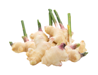 fresh ginger isolated on transparent png