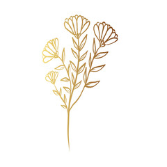 Gold flower line art 