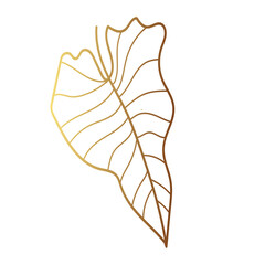 Gold leaf illustration 