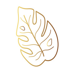 Gold leaf illustration 