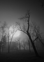 Naklejka premium Creepy landscape showing the house in mist in dark swamp and forest during the autumn night with a full moon in black and white