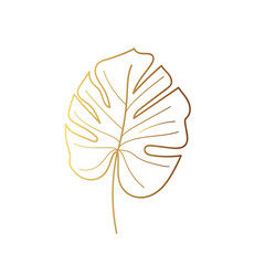 Gold leaf illustration 