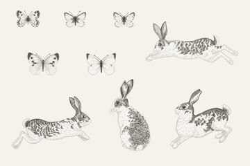 Fototapeta na wymiar Set with rabbits and butterflies