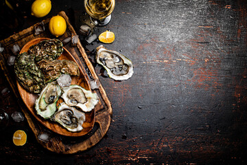 Fresh oysters with ice on a wooden plate. 