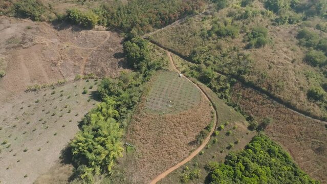 Aerial top view of deforestation on the mountain for agricultural in the northen part of Thailand
