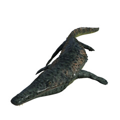 Archegosaurus isolated dinosaur 3d render