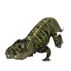 Batrachotomus isolated dinosaur 3d render
