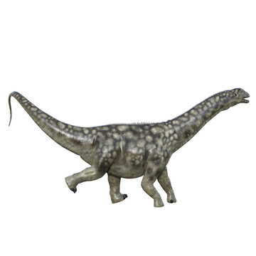 Argentinosaurus isolated dinosaur 3d render
