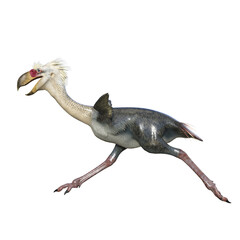 Phorusrhacos isolated dinosaur 3d render
