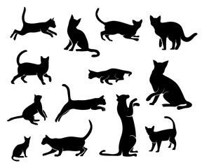 set of cats silhouettes, Cat silhouette vector, black cat silhouette, cats, black silhouette, black cats, set of cat, black cats