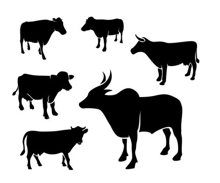silhouettes of cows, silhouette of bull, silhouette of buffalo, retro design of bull, bull logo in retro style	