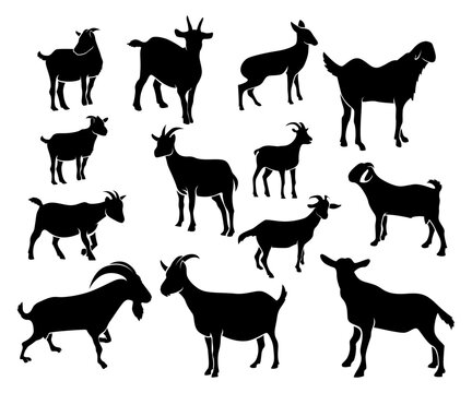 farm animals silhouettes, goat silhouettes set, goat silhouettes collections, goat illustration, sheep vector
