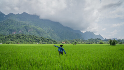 Fototapeta na wymiar little girl in the rice field