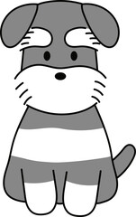 ほっこりかわいいお座りシュナウザー2