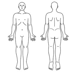 シンプルな全身の人体図　体表の前面と後面