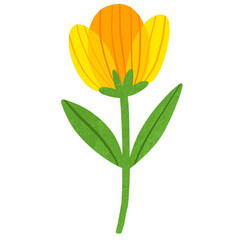 Flower blooming in the spring season clipart.