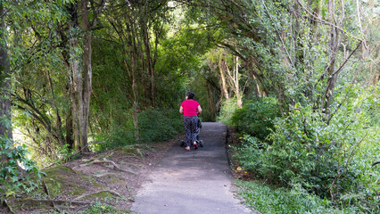 Mulher de costas empurrando um carrinho de bebê por um caminho entre árvores em um parque da...