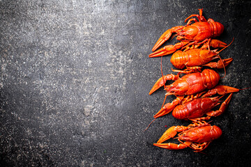 Delicious boiled crayfish on the table. 