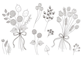 ドライフラワー 実 草花 装飾 あしらい 線画