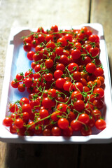 マイクロトマト