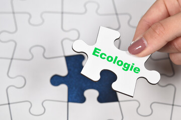 planète environnement ecologie terre vert