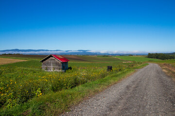 hill with red roof house