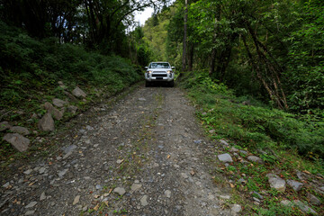 Driving off road car in the high altitude mountain forest