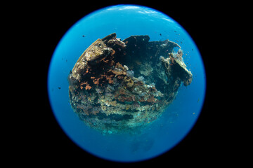 Wide angle underwater photography with a special circular fisheye lens. The famous Liberty ship wreck at Tulamben, Bali, Indonesia.