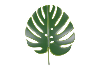3d monstera leaf isolated on white background