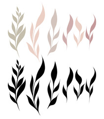 Vector rustic set of branches with leaves. Twig with foliage silhouettes in pastel and black colors isolated from the background.