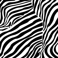 Zebra print pattern. Zebra skin texture vector