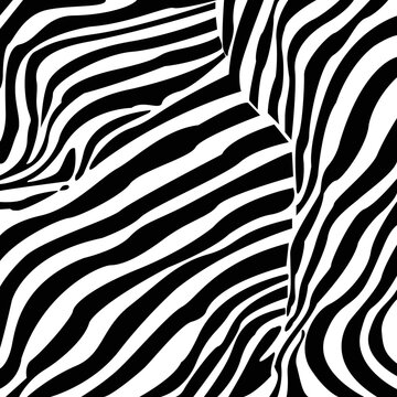 Zebra print pattern. Zebra skin texture vector © VYCstore