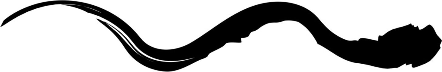 Ink Line Stroke Design Element