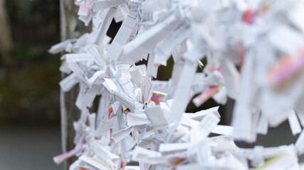 日本の神社にあるおみくじを引いた後に巻きつける風習