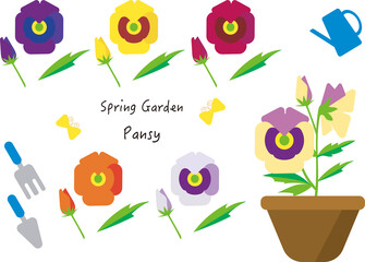 パンジー　spring garden

