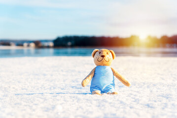 Toy Teddy bear sitting on the white snow background.Sunset forest winter blurred landscape.Copy space.