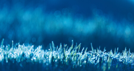 The green grass is covered with ice crystals. A wonderful morning spring or autumn landscape.