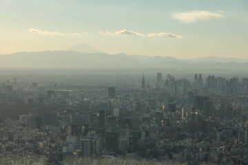 霞がかる新宿と富士山
